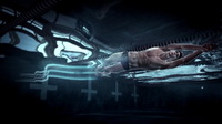 Nada como el mejor nadador del mundo con Kinect &raquo; Blog Juegos